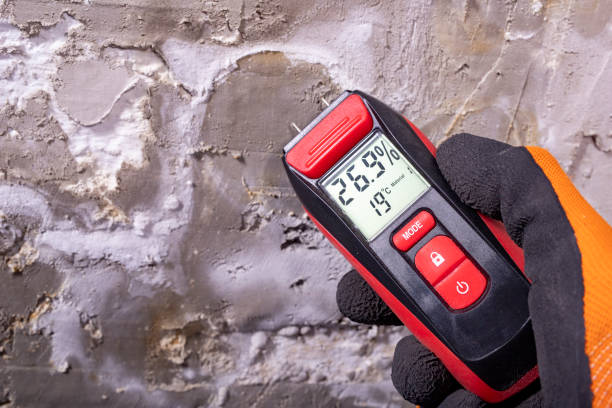 Best Toxic Mold Removal  in Rose Lodge, OR