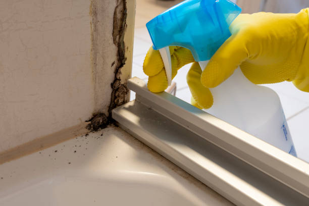Best Certified Mold Removal  in Rose Lodge, OR
