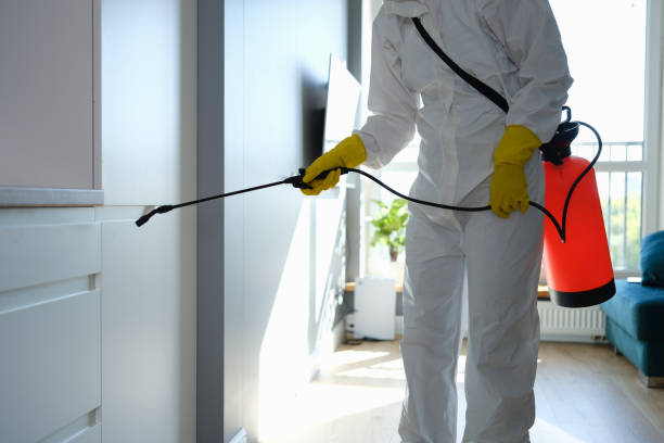 Best Affordable Mold Removal  in Rose Lodge, OR