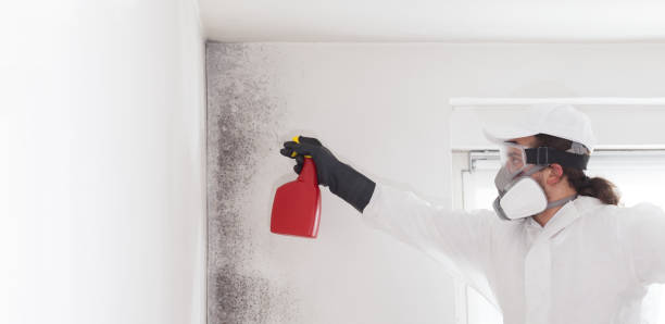 Best Office Mold Removal Services  in Rose Lodge, OR
