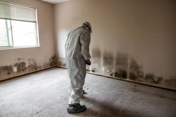 Best Mold Testing  in Rose Lodge, OR